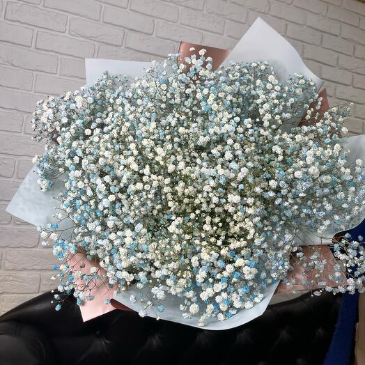 Gran Nube de gypsophila