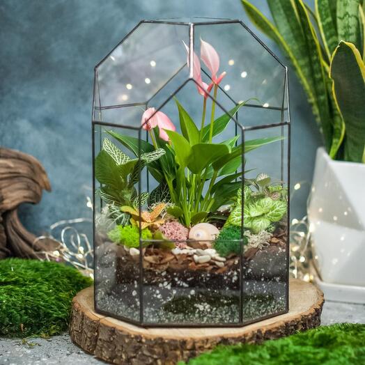 Bonsarium 27 with Anthurium - 059