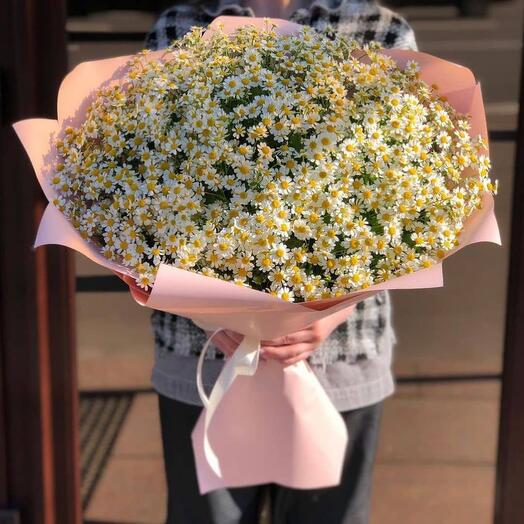 Fragrant Daisies