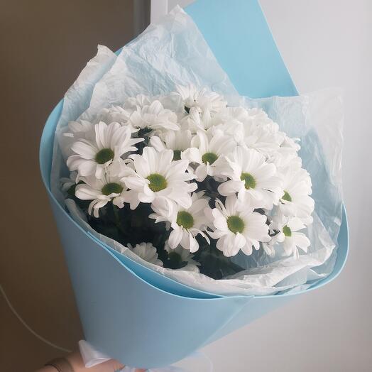 Daisies