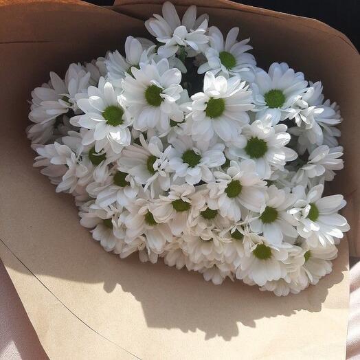 Chamomile