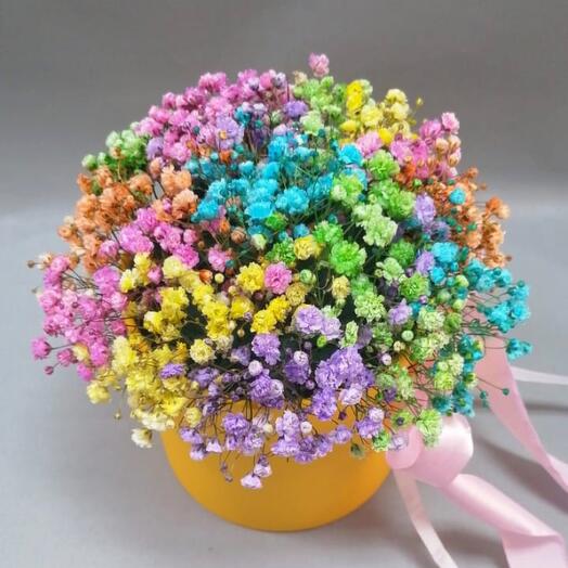 Composition of gypsophila