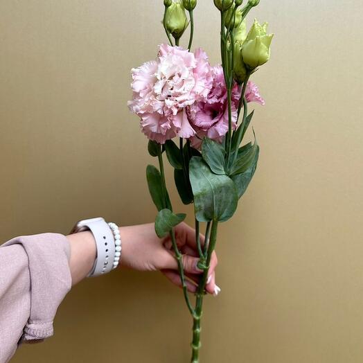 Эустома махровая🌸