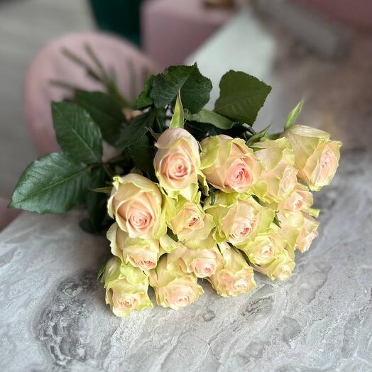 Чайные Розы 15шт