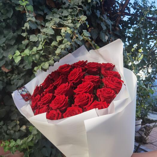 Mono de rosas Burdeos