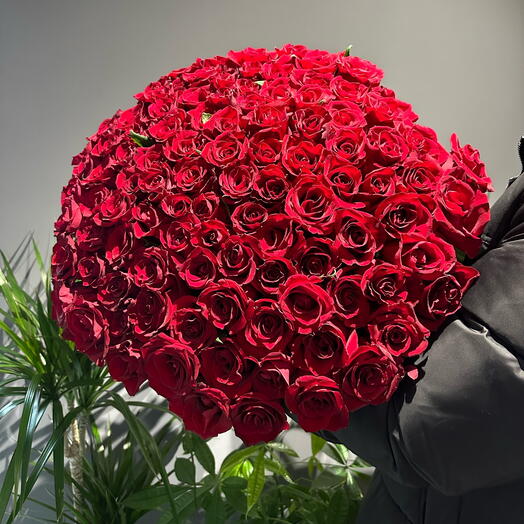 101 Roses