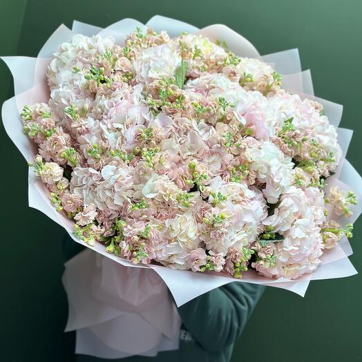 Гортензия (Колумбия) с маттиолой