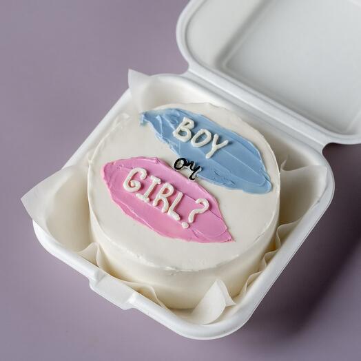Bento cake gender "boy or girl?"