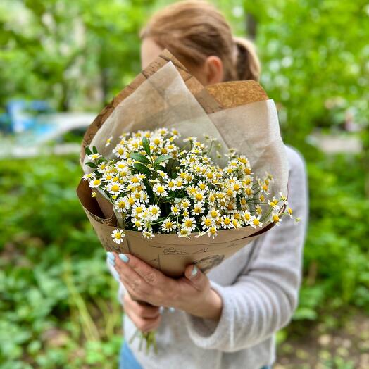 Bouquet-a compliment of fragrant daisies