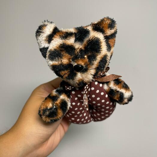 Леопардовый котик