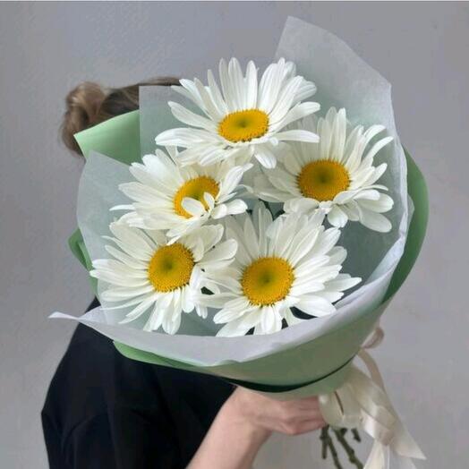 Солнечные ромашки