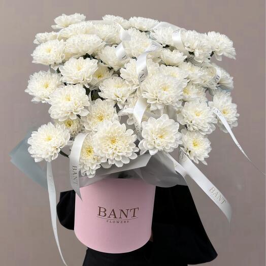 Бокс хризантем кустовых