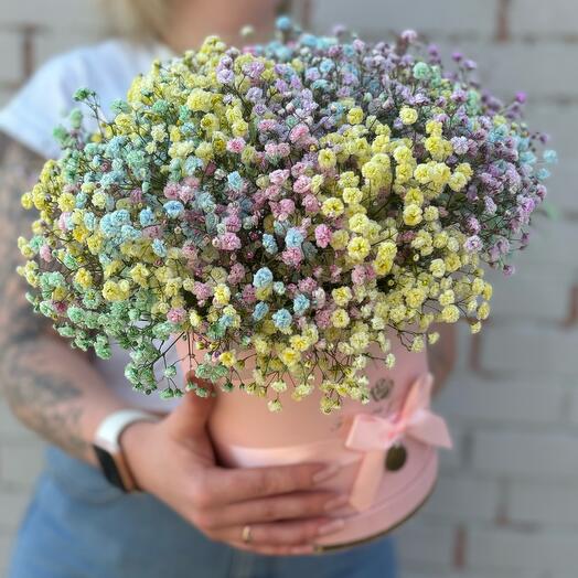 Iridescent Gypsophila in a box