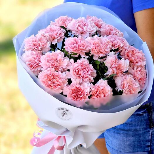 17 розовых диантусов