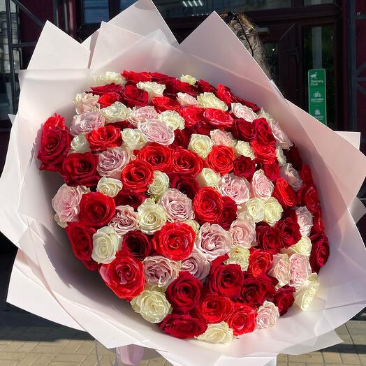 VIP rosse 101