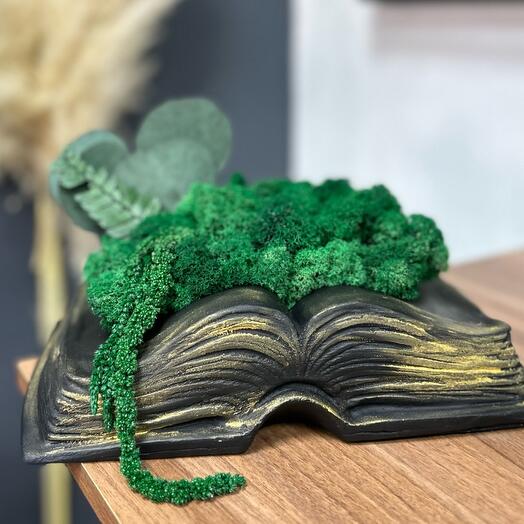 Кашпо со мхом Книга