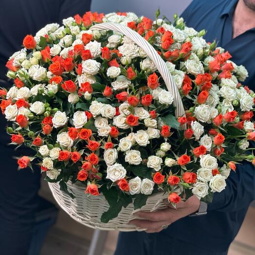Корзина из 81 кустовых роз