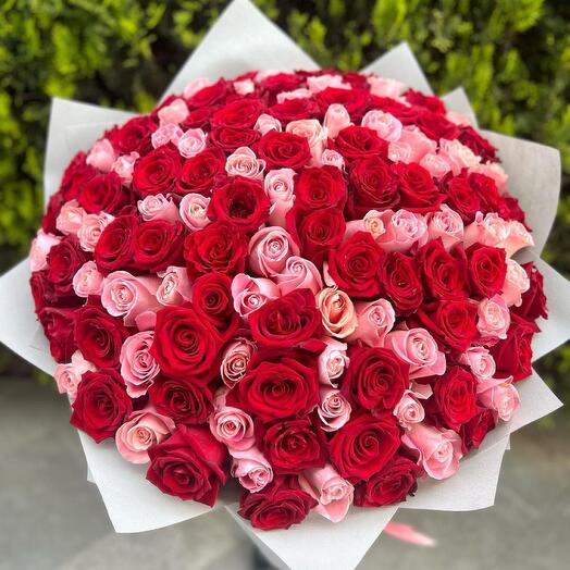 Bouquet of red and pink roses 101 pieces