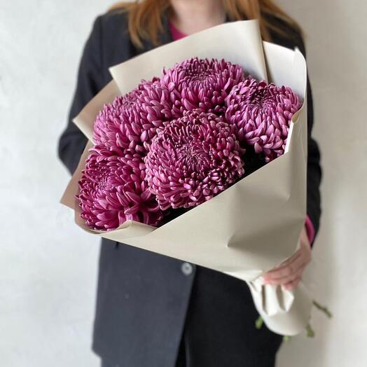 Хризантема Бигуди 5