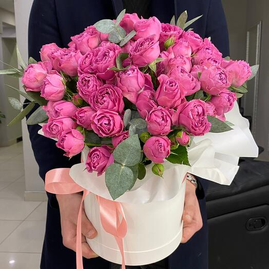 Peony-shaped bush Rose in a box