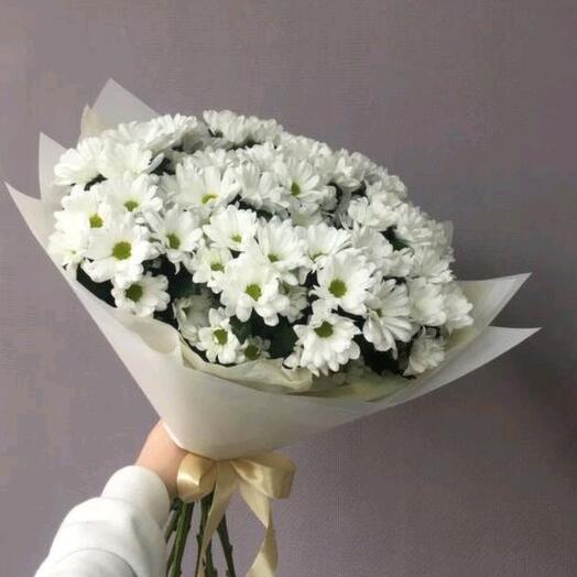 Букет ромашек (хризантем) 7шт