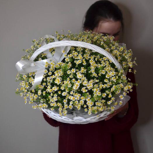Корзина с кустовыми ромашками (1)