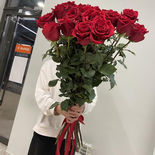 Розы метровые