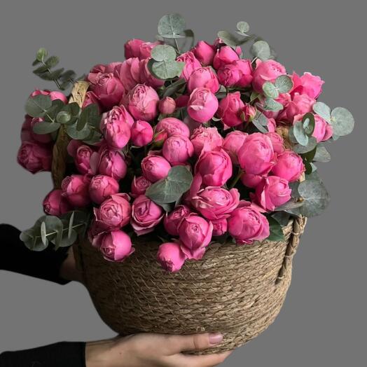 Элегантный акцент