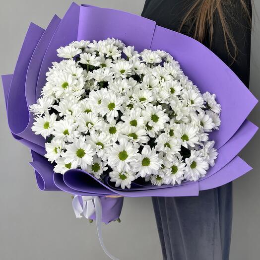 Букет из 13 хризантем Бакарди (FW0123)