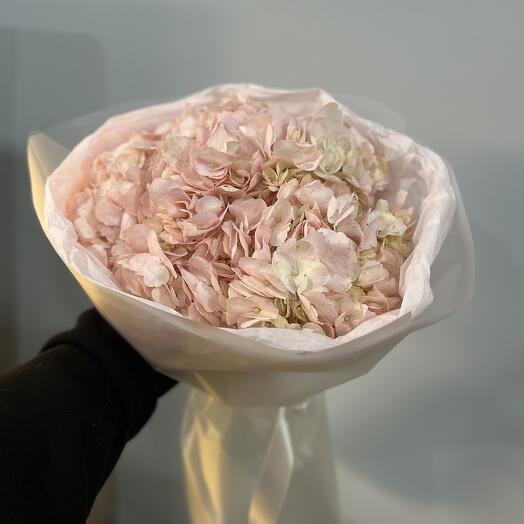 Monobucket de Hortensia rosa