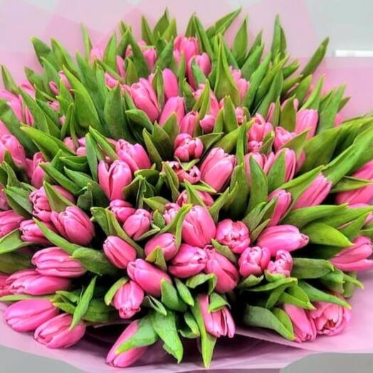 Pink tulips