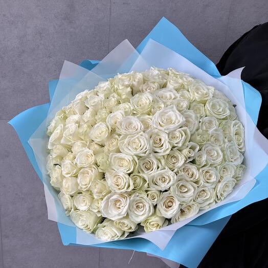 101 White Roses