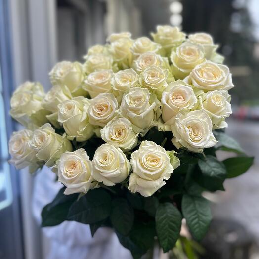 Bouquet of 31 White roses