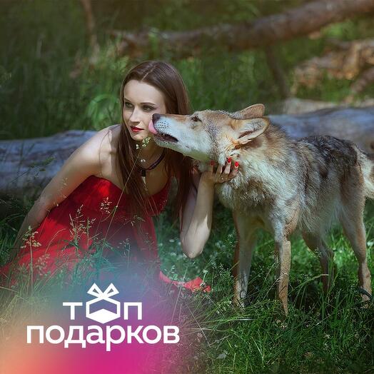 Подарочный сертификат Фотосессия с волком, 1-3 чел. (1 час) (Московская область)