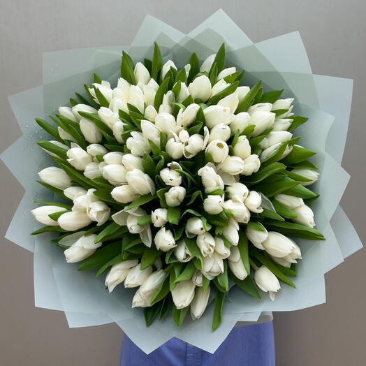 Eternal Purity – 101 White Tulips