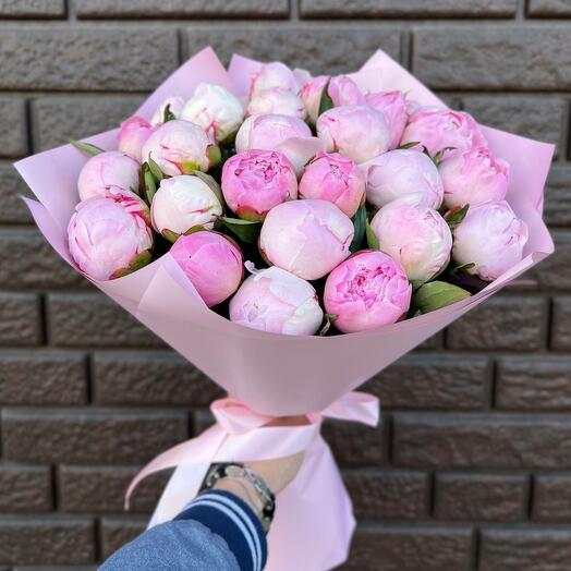 Розовые пионы Sarah 25 шт