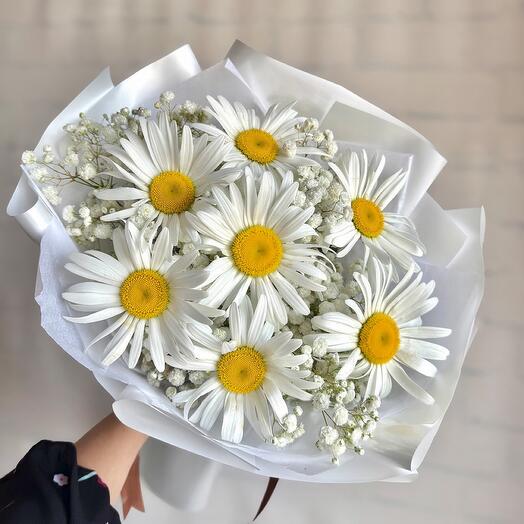 Ромашки с белой гипсофилой 💛🤍🌼