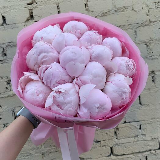 Пионы розовые 15шт