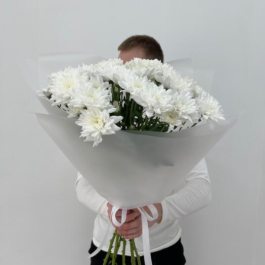 Snowy charm of bush chrysanthemums
