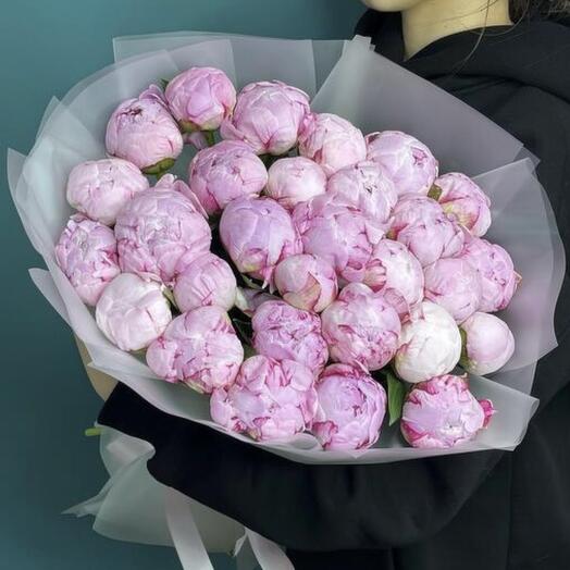 Монобукет из 29 пионов сорта Сара Бернар 🌸
