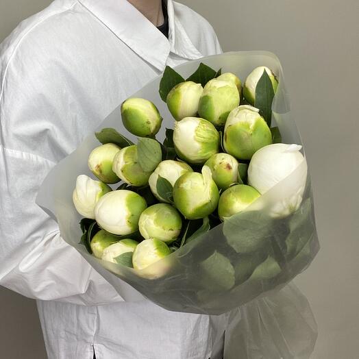 19 пионов