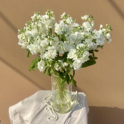 Интерьерная композиция из белого маттиолы – свежесть и стиль в вашем пространстве