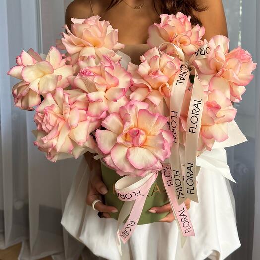 Коробка ESPERANCE