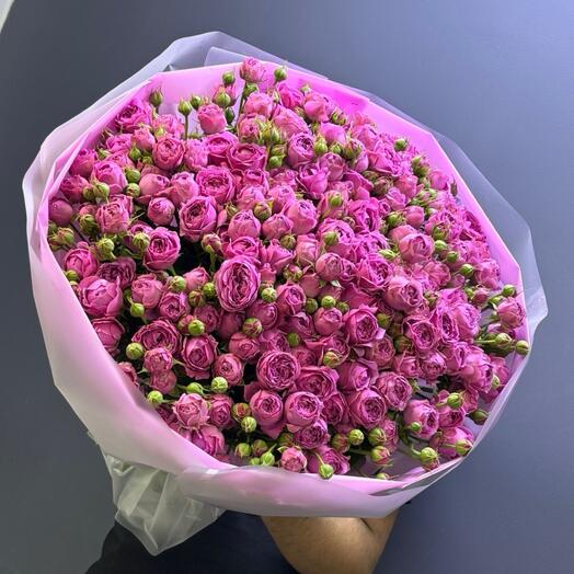 51 Роза кустовые пионовидные Розы Мисти баблз