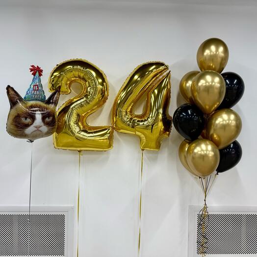 Шары 24 года кот  в колпаке