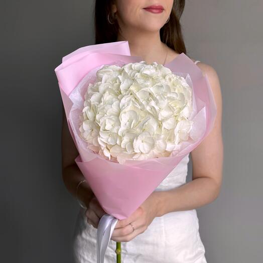 Нежный букет белая гортензия