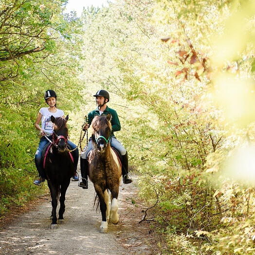Подарочный сертификат «Конная прогулка» (1 час, 1 человек)