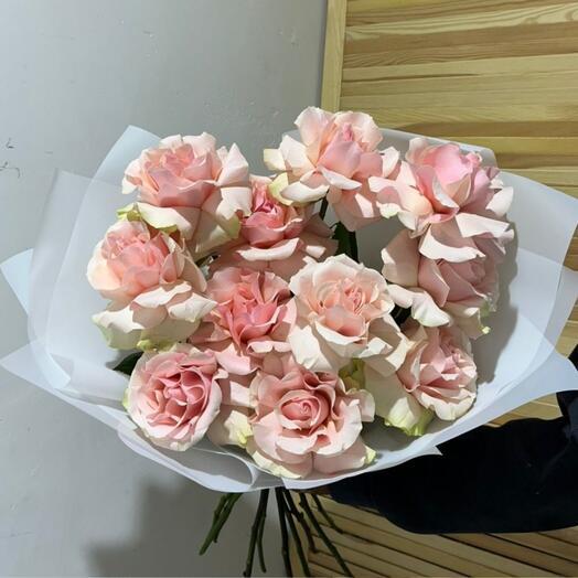 Роза Французский 11шт 🌸