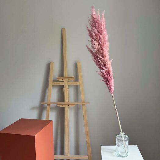 Пампасная Boho трава Pink