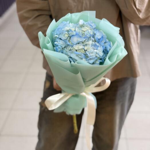 Букет комплимент из голубой гортензии 🩵